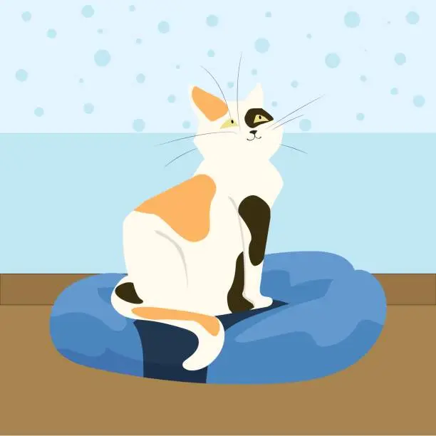 Vector illustration of Cat on couch. Pet toys and accessory. Domestic animal sleeping zone funny mammal at home. Pussycat sitting, adorable purebred kitty. Happy character cartoon flat isolated vector illustration