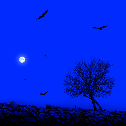 Single tree on barren landscape with flock of birds