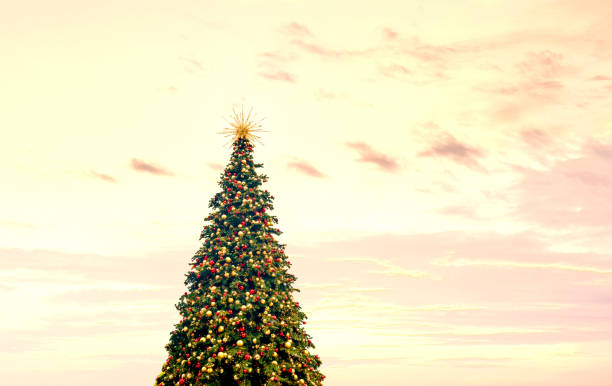 istock Outdoor Christmas Tree during sunset 2011878857
