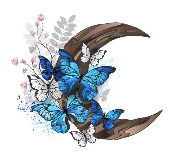 illustrations, cliparts, dessins animés et icônes de papillons bleus sur croissant en bois - blue silk morpho butterfly