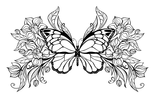 Contoured, artistically drawn butterfly with symmetrical pattern of contoured, blooming orchids with ornamental plants.