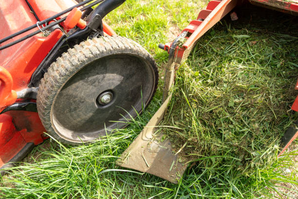 istock Lawn mower basket with cut grass 2011900093