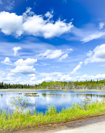 The beauty of Interior Alaska is enhanced with the smooth reflective waters. This small gem can be found in Interior Alaska. Lakes such as this reflect the beauty of Alaska’s big sky and beautiful cloud formations as they reflect upon the still waters.