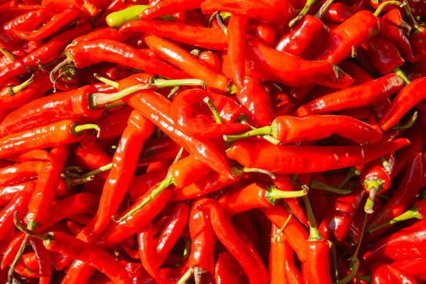 istock Red chili peppers in Bhutan 2011936765