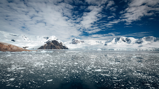 Antarctica Glacier and Mountain Range Panorama on a bright sunny day. Drift Ice Seascape view over small Icebergs in Antarctic Glacier Lagoon - Glacier Bay. Large Glacier Tongue and Coastal Mountain Range Peaks under deep blue skyscape. Panorama Shot. Antarctica Peninsula, Antarctica