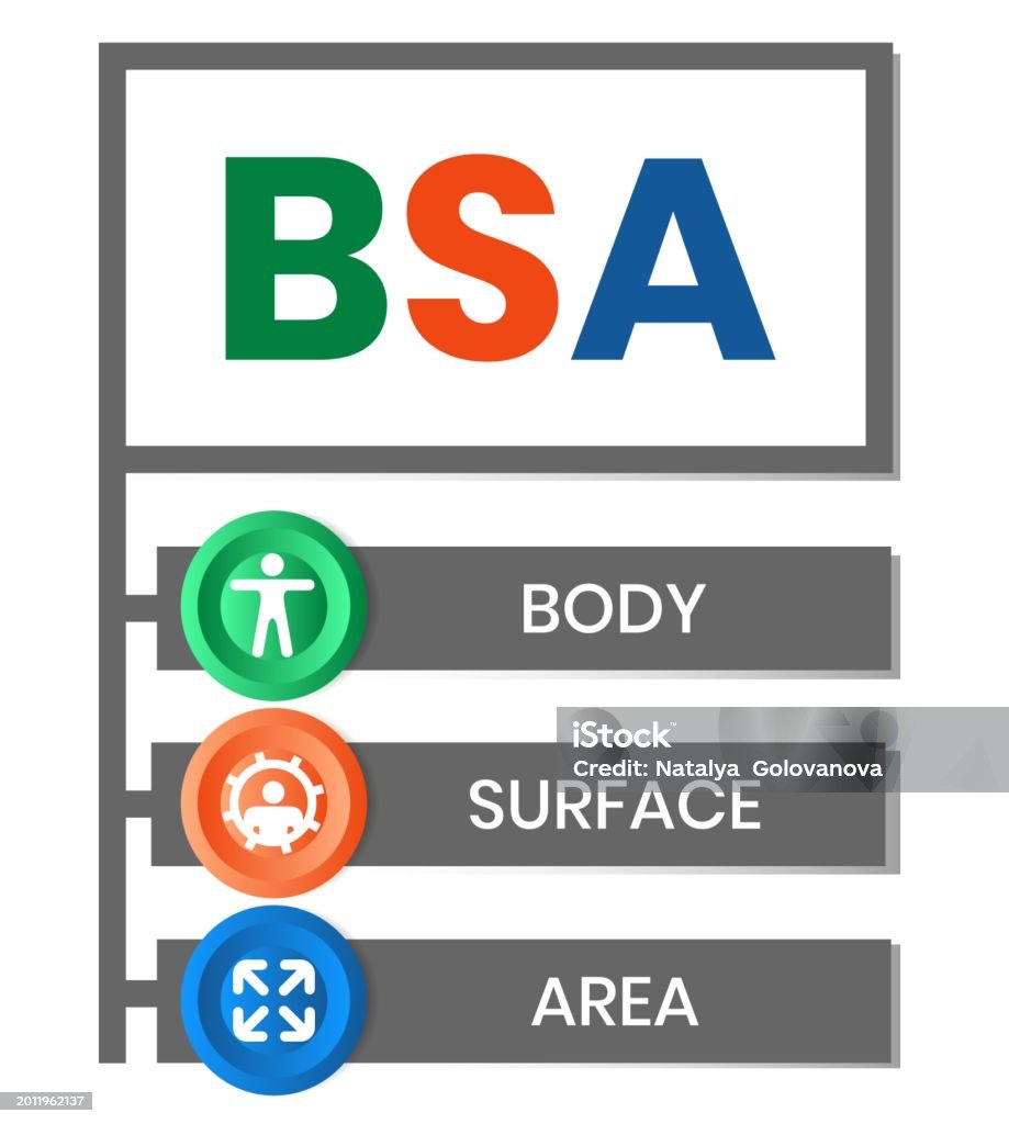 Bsa Lettering Bsa Body Surface Area Stock Illustration - Download Image Now - Acronym ...