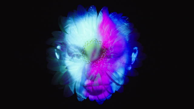 Woman's face projection on a flower