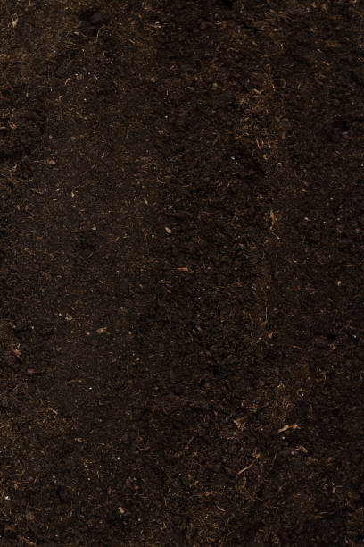 istock Soil for plant isolated on white background. 2012066350