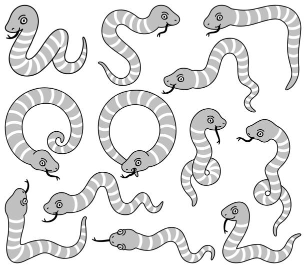 illustrations of snakes in various poses. - white background colors striped part of点のイラスト素材／クリップアート素材／マンガ素材／アイコン素材