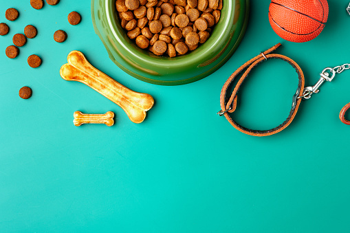 Dog dry food in bowl, toy ball and leash on green background studio shot
