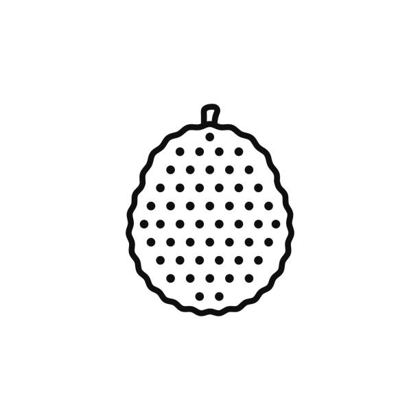 ikona linii jackfruit na białym tle - mangosteen green agriculture banana stock illustrations