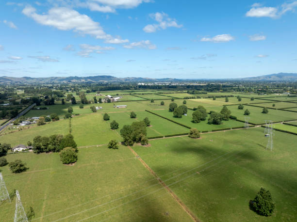 Rural New Zealand aerial view