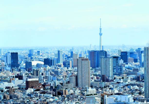 Tokyo cityscape seen from a skyscraper