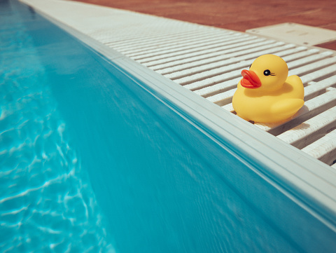 Yellow rubber duck floating and moving pasta in a swimming pool
