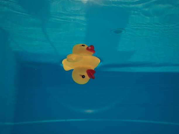 Cute pink and yellow rubber ducks floating on blue water