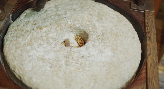 The baker grinds grain into flour. Antique hand mill in operation with an authentic 200 year old millstone