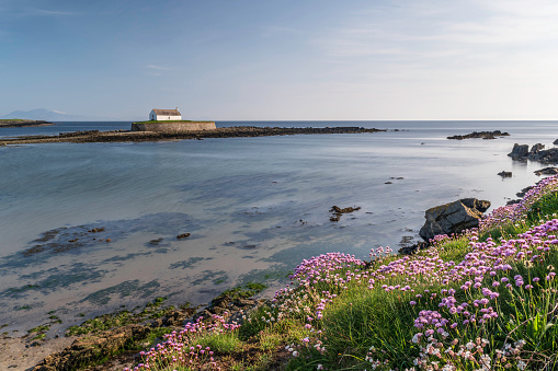 St. Cwyfan's church, Aberffraw. Anglesey. North Wales. A view of St. Cwyfan's church at low tide. Also known as the \