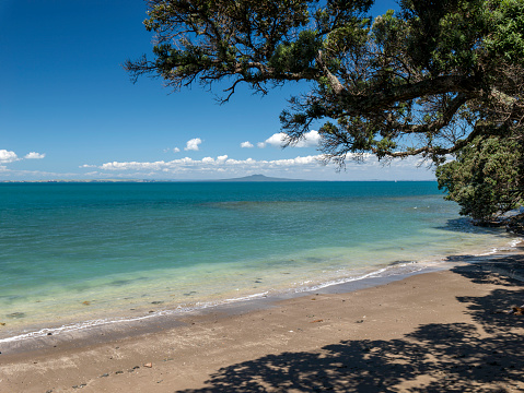 Auckland coastline, North Island New Zealand