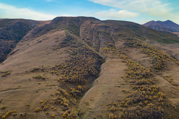 istock landscape of georgia 2012254596