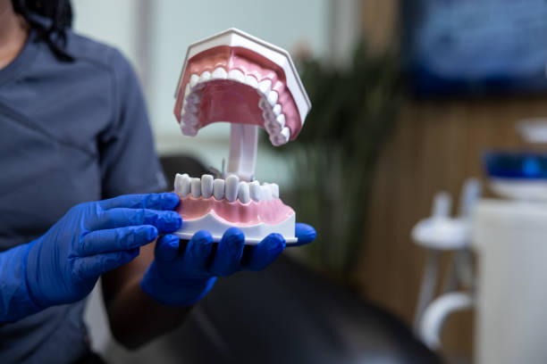 istock Unrecognizable doctor holding human jaw model in hand 2012302266