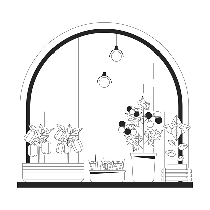 Windowsill garden black and white 2D line cartoon object. Indoor gardening. Window sill herbs planting isolated vector outline item. Veggies plants. Vegetables pot monochromatic flat spot illustration