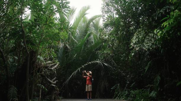 istock Woman taking photo with smartphone while traveling at nature. 2012386877