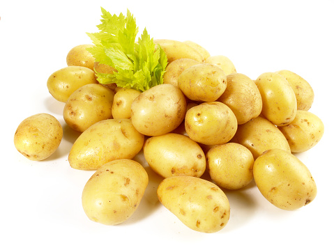 Falling potato, isolated on white background, clipping path, full depth of field