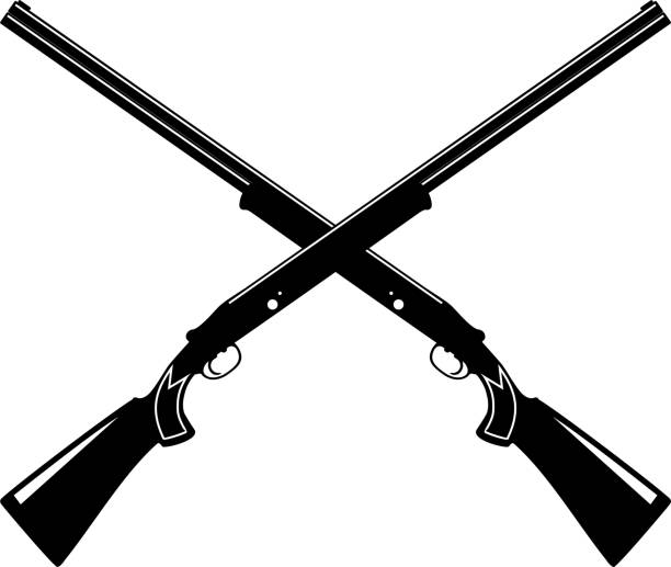 crossed hunting rifles isolated icon in flat style. vector illustration. - nabój stock illustrations