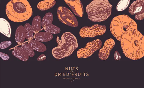 Vector illustration of Nuts and dried fruits top border poster