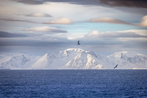 Arctic landscape from Hammerfest - Norway in winter.