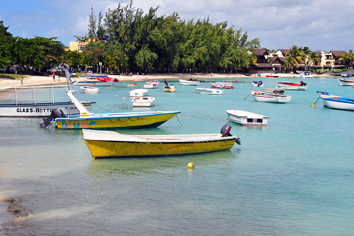 Grand Baie, Rivière du Rempart District, Mauritius: tourism oriented town on the north coast, home to luxury properties, as well as famous hotels, restaurants and night bars, departure point for deep sea excursions for fishing or diving, as well as to the Flat Island, Round Island and Snake Island.