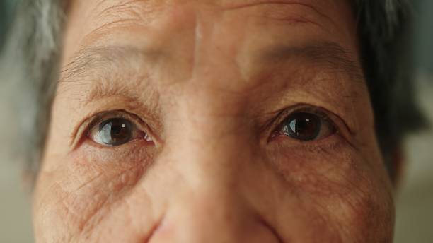 Senior woman with beautiful eyes on grey background, closeup