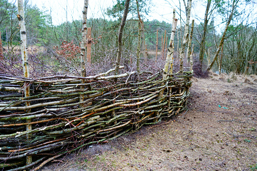 Fence made out of woven branches