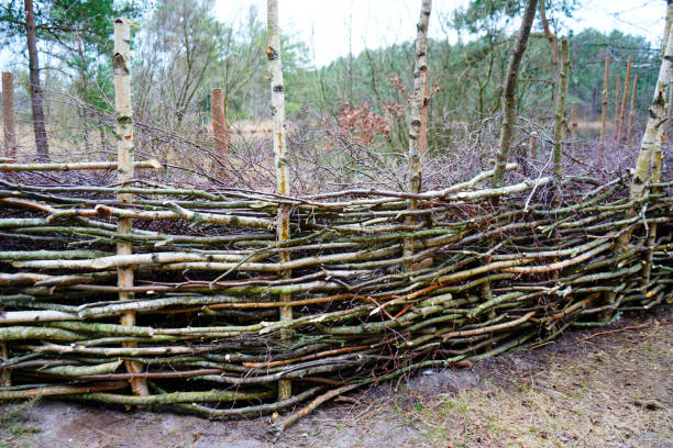 istock Fence made out of woven branches 2012508356