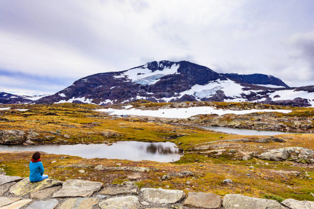 istock Tourist enjoy mountains view, Norway 2012535071