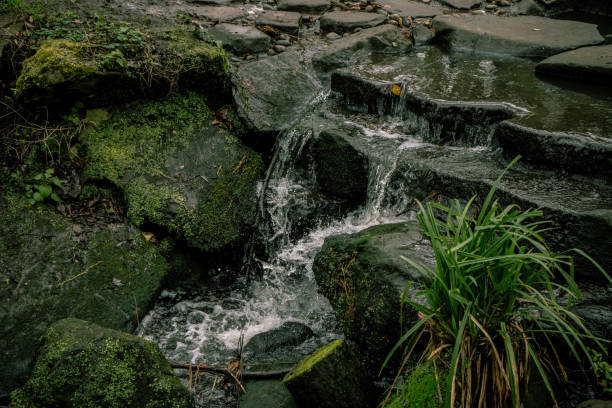 High angle view of waterfall against rocks