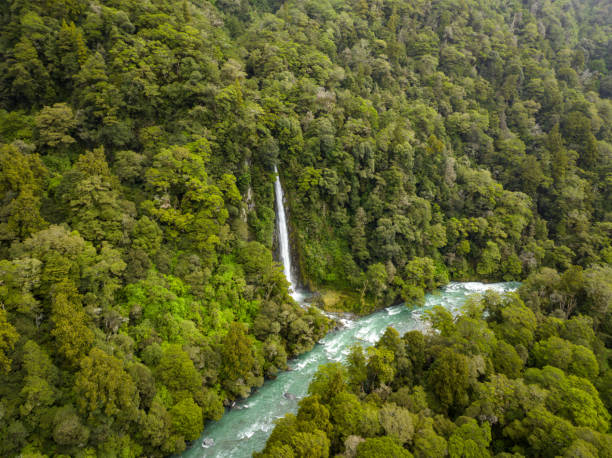 istock New Zealand's Pristine Waterfall: Nature's Green Oasis 2012559613