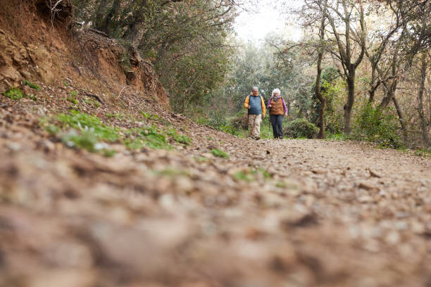 istock Trail View: Positive Couple Amidst Autumn Foliage 2012561262