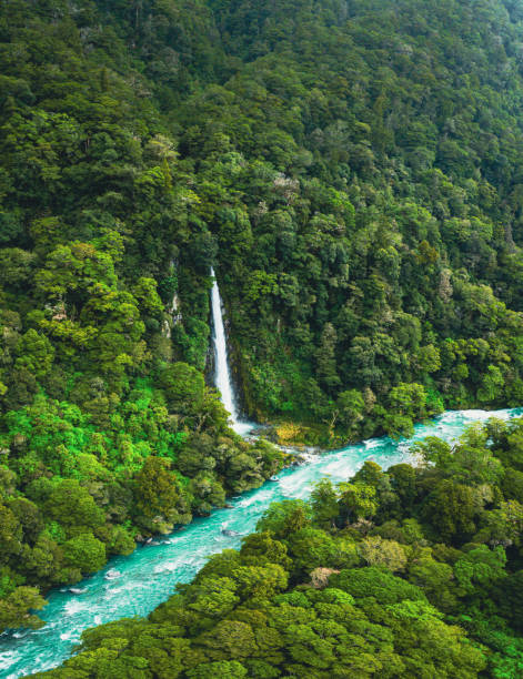 istock New Zealand's Pristine Waterfall: Nature's Green Oasis 2012563577
