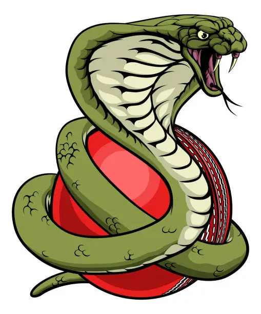 Vector illustration of Cobra Snake Cricket Ball Animal Sports Team Mascot