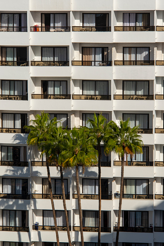 Palmtrees in front of a white apartment building in a tropical climate.
