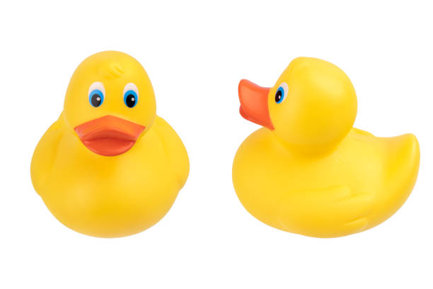 istock yellow rubber duck for bathtub isolated on white background 2012639944