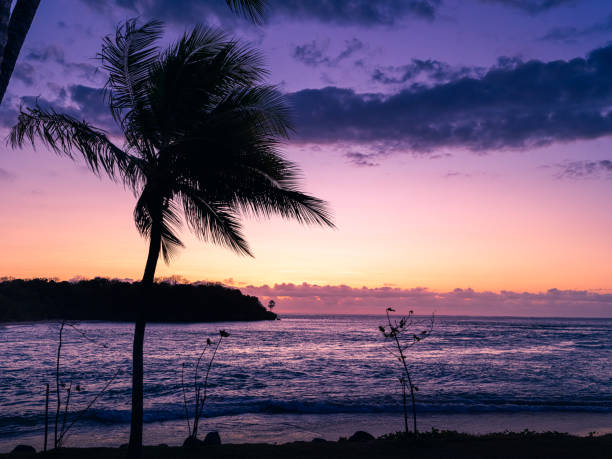 This image captures a peaceful beach scene at dusk in Fiji. A tall palm tree stands in silhouette against a striking sky, with colors transitioning from deep purple to soft pink, and then to warm orange, indicating the close of the day. The tranquil sea mirrors the sunset’s palette, with the dimming shoreline framing the quiet waters. The setting sun casts a serene glow over the gentle waves, with the far-off horizon marking where the sky meets the ocean. It is a picturesque moment that encapsulates the serene and exotic allure typical of the Fijian islands.
