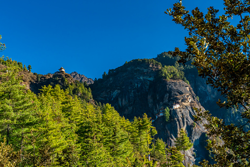 Low angle view of Tigers Nest Monastery with a lot of trees in the foreground