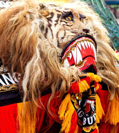 Jember, 15 June 2014. Reog Ponorogo appeared at the Southern Regional Arts Festival in Ambulu on 15 June 2014.
