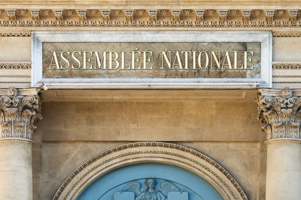 istock Palais Bourbon, National Assembly in Paris 2012703278