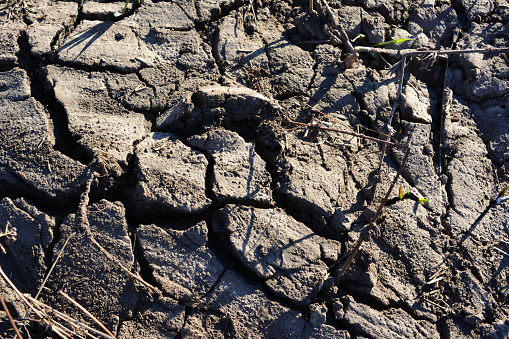 cracked and dried soil isolated in sunny day wallpaper