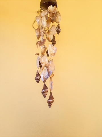 Wind Chimes made from coconut shells and shells.