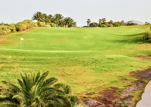 Golf Green Grass Fiel in a Tropical Climate