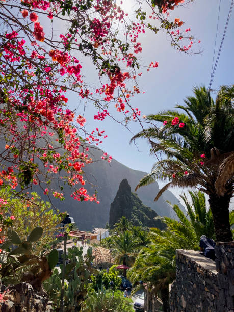 istock View from the Masca village on Tenerife. Pink blooming tree blossoms 2012775223